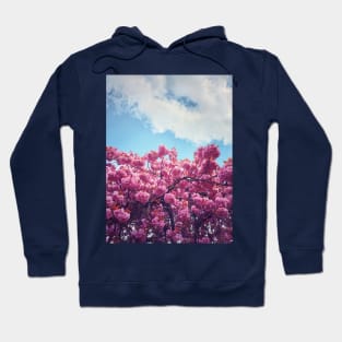 sakura pattern Hoodie